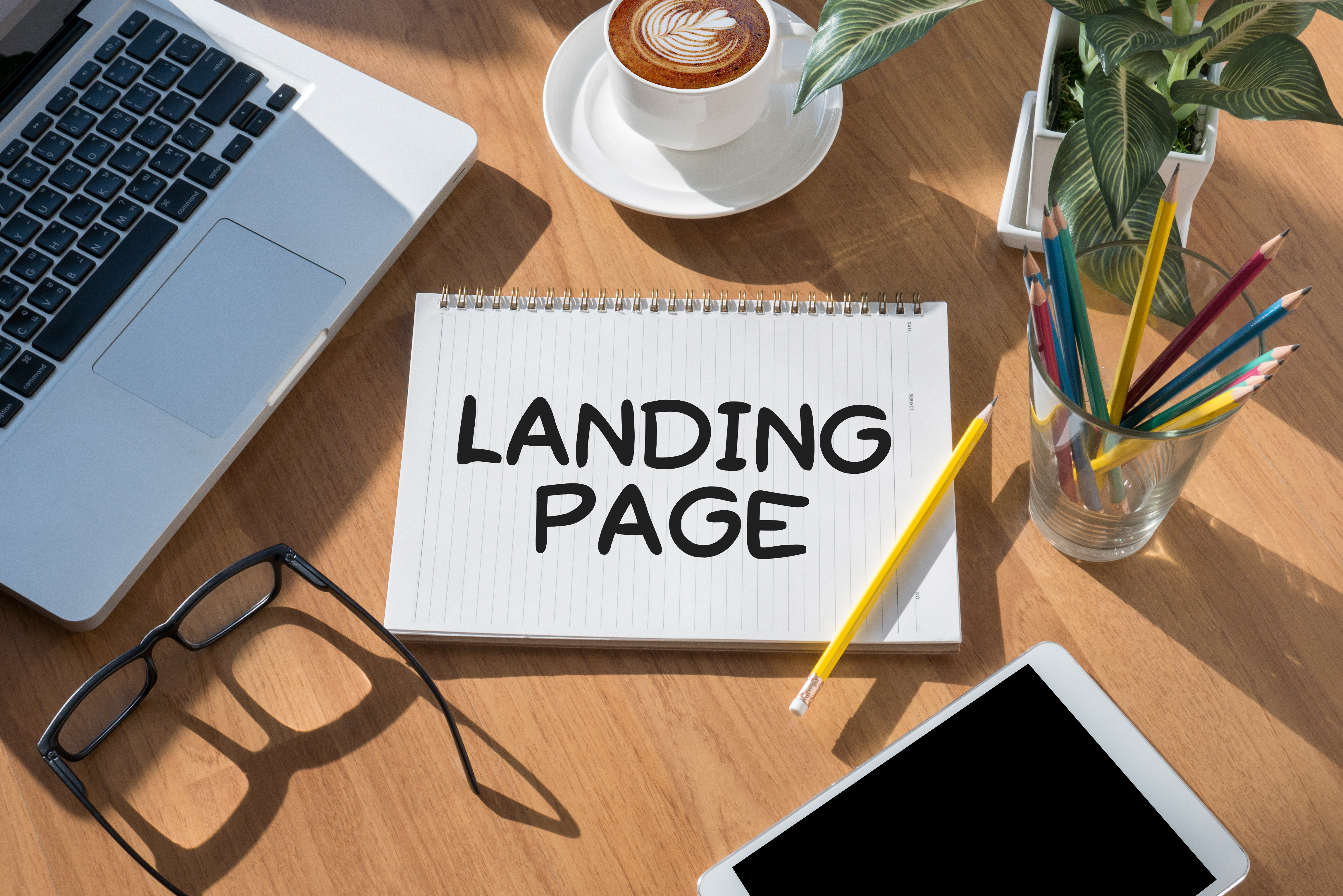 LANDING PAGE (SEO concept)